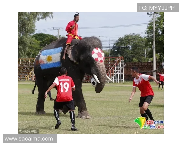 细数当今足坛顶级球星独特技术风格与惊艳球场表现 细数当今足坛顶级球星独特技术风格与惊艳球场表现