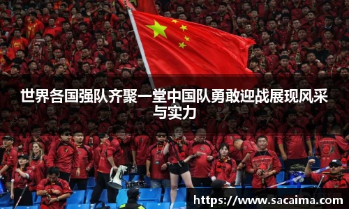 世界各国强队齐聚一堂中国队勇敢迎战展现风采与实力