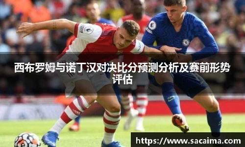 西布罗姆与诺丁汉对决比分预测分析及赛前形势评估
